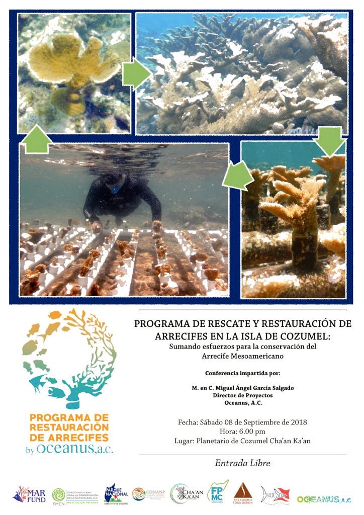 Oceanus, A.C. tweet media