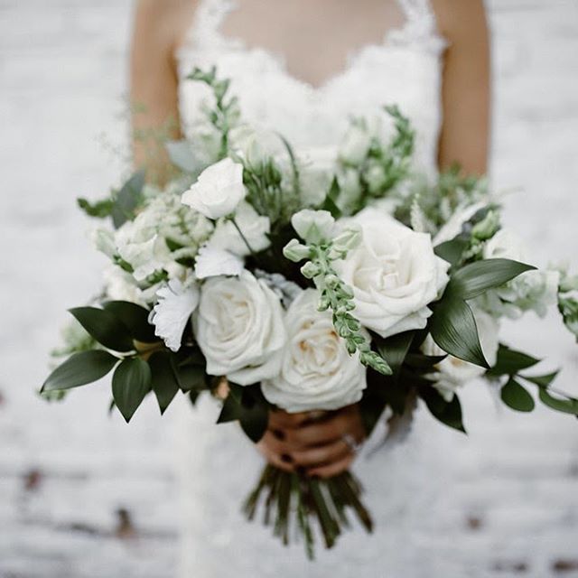 It’s been a few days since we posted... we’ve been over here gearing up for an amazing fall 🍂🍁season and enjoying the last few days of summer ☀️ (although this heat has us contemplating if fall will ever come 😂). Throwing it back to last fall and… ift.tt/2oJ6eY3