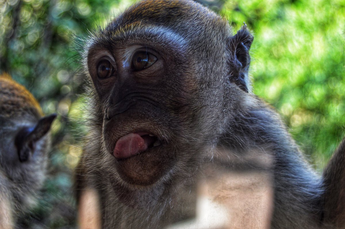 MrsEstep2U's tweet photo. I have a love for photography that has trickled down into my 3 youngest... Here are a few photos they took while at the Indianapolis Zoo.... ππ #NewArtForMyWalls #PhotographersInTheMaking https://t.co/D5M8gVi92a