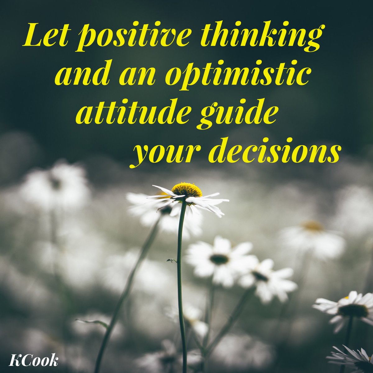 kathycook1's tweet photo. We have freedom to make so many choices about what we do and how we approach things. I am grateful! #gratitude #positivethinking #makingdecisions #beoptimistic #grateful #choices #wednesdaythoughts #WednesdayMotivation https://t.co/xrUPiqgsqD