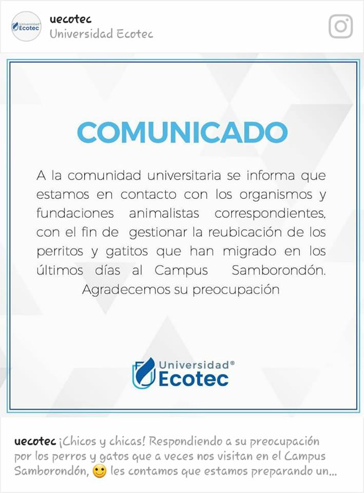 Qué les parece este comunicado?