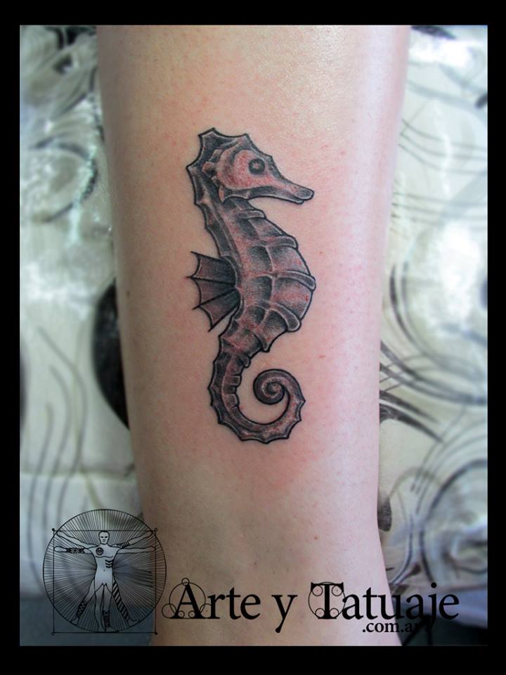 arte y tatuaje on X: "Tatuaje de hipocampo, por Leandro en #arteytatuaje # tattoos #estudioarteytatuaje #tattoo #tattooart #tattoolife #tattoostudio #argentina #buenosaires #bsas #retiro #ink #art #inked #tattooed #hipocampo #caballitodemar ...