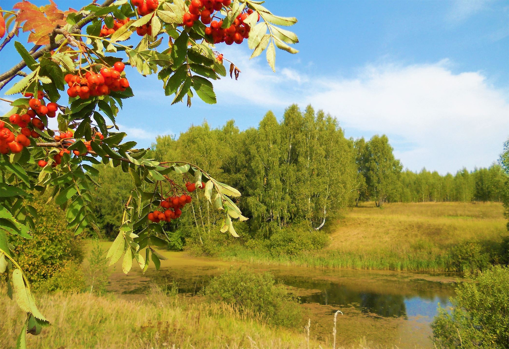 17 Сентября праздник