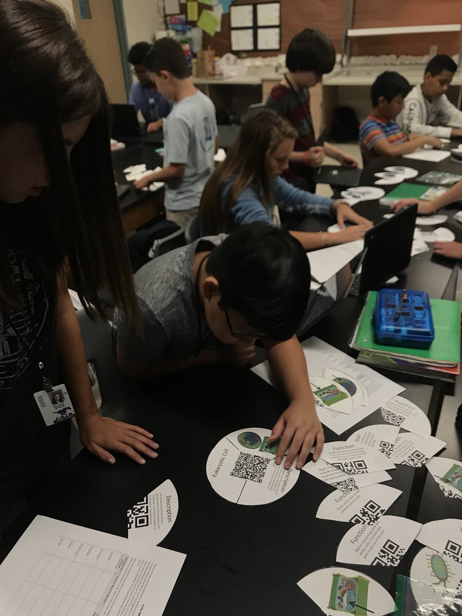 KatyPope26's tweet photo. Matching cell organelles using #QR puzzles #cainconnection https://t.co/x58QvsXFGi