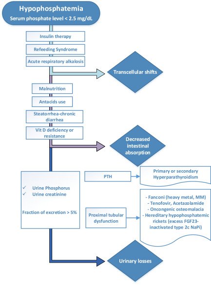 AJKDonline's tweet image. #Hypophosphatemia can result from decreased intestinal absorption and from urinary wasting with hyperparathyroidism, Fanconi syndrome, and other rare acquired and hereditary syndromes of isolated phosphaturia. Other causes listed here -&amp;gt; bit.ly/2pikVQJ (FREE)