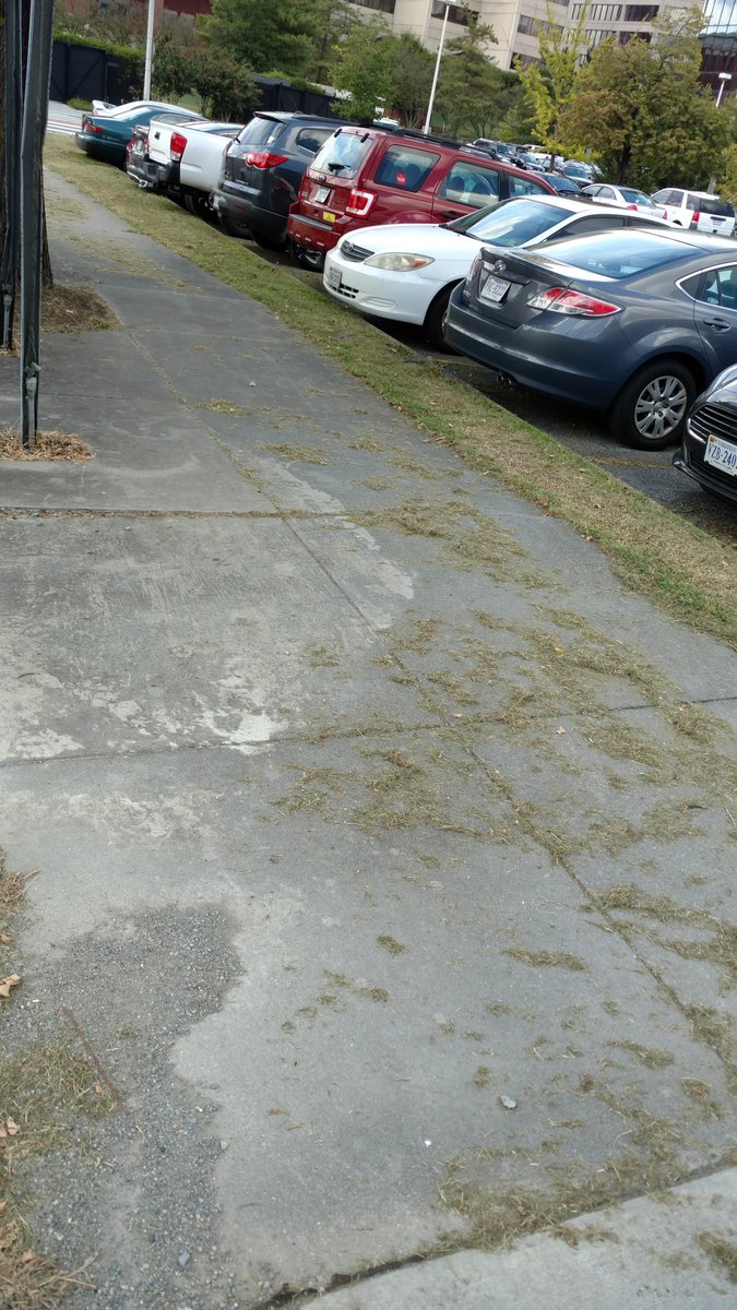 sarahlukens's tweet photo. @iROANOKE a carpet of grass clippings over the sidewalk downtown @City_of_Roanoke https://t.co/HdK6JDEUO2