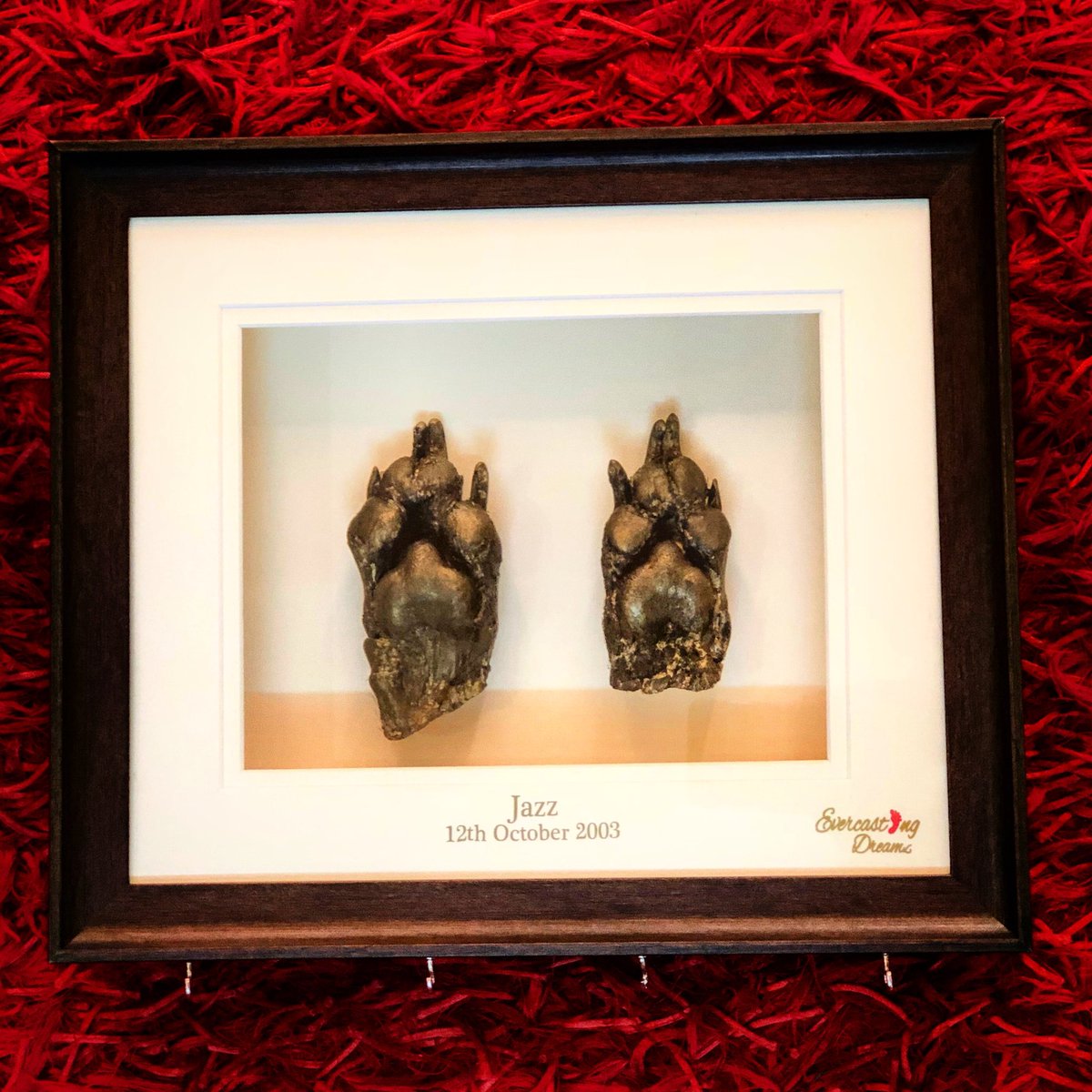 SonalisEra's tweet image. Dogs leave paw prints in our heart...!! #pawcasting #evercastingdreamz