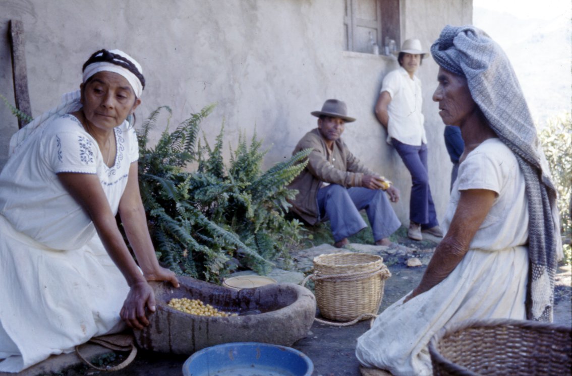 #SabíasQue Más de 600 mil personas pertenecen al pueblo #zapoteco, de las cuales entre 70 y 80% reside en el estado de #Oaxaca, de donde son originarias. El resto radica en distintas ciudades mexicanas y del extranjero.
La imagen corresponde a Tanetze de Zaragoza, SIerra Norte.