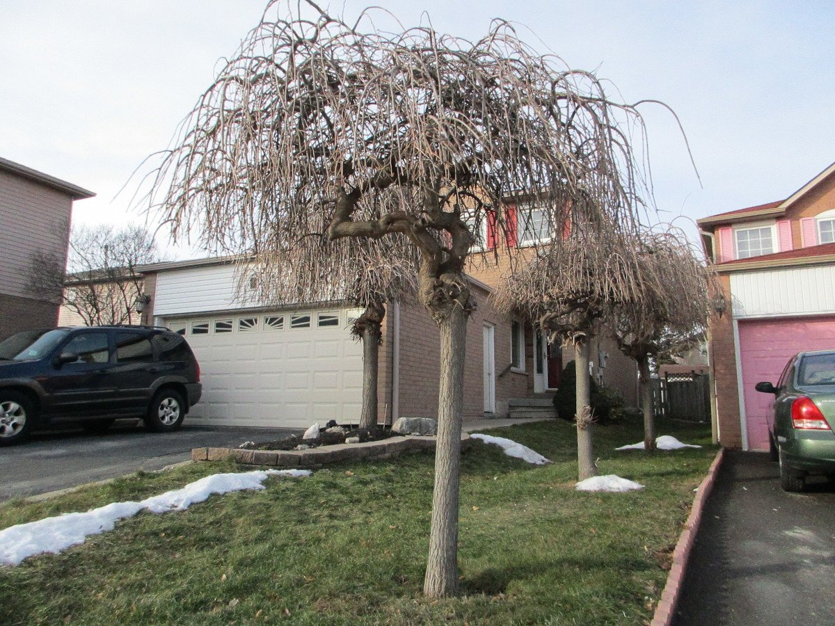 Beatrice Pomaa Real Estate & Mortage (AfuaPomaa) Twitter