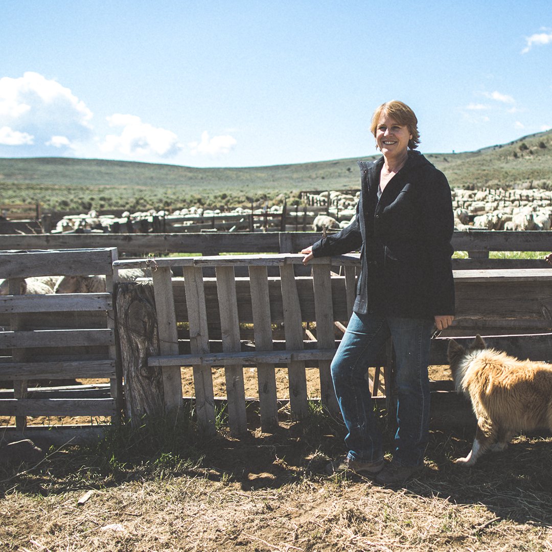 One ranch and a flock of sheep can make a difference. Our Cali Wool Collection is made of climate beneficial wool from Bare Ranch, CA. See the full collection here: bit.ly/CaliWool2018TW