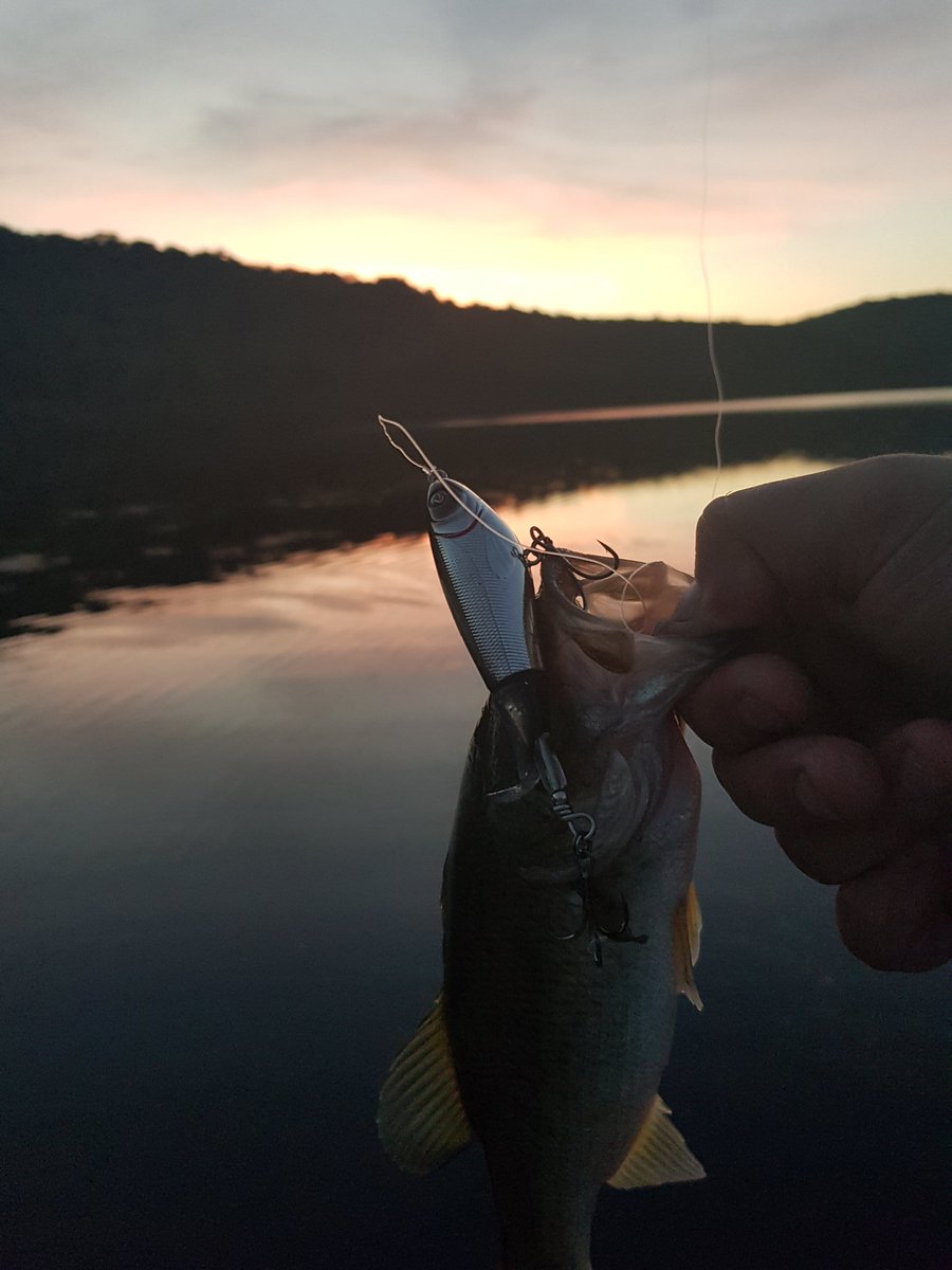 DonKelly/TackleShack (TackleShackPA) Twitter