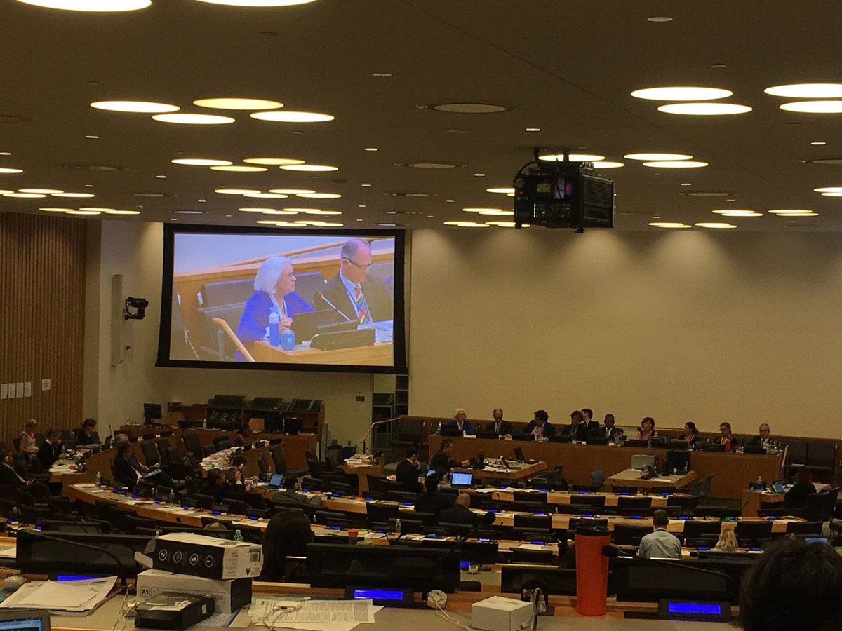 G_OCeans's tweet image. Ms.@4kgjerde on the lessons learned from the #CBD guidelines for informing #highseas impact assessments. Emphasizing the importance of a #PrecautionaryApproach #ThisWay2Treaty