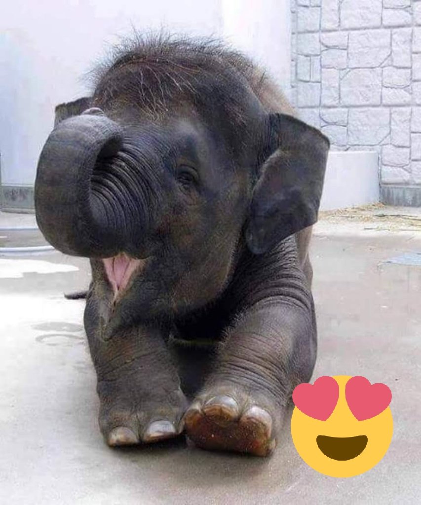 RainerJamie's tweet image. He's so cute