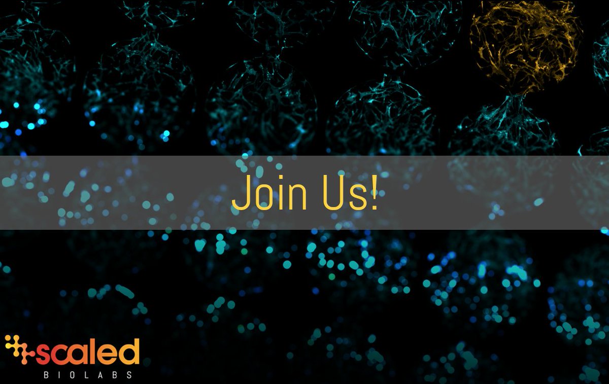 Scaled Biolabs tweet media