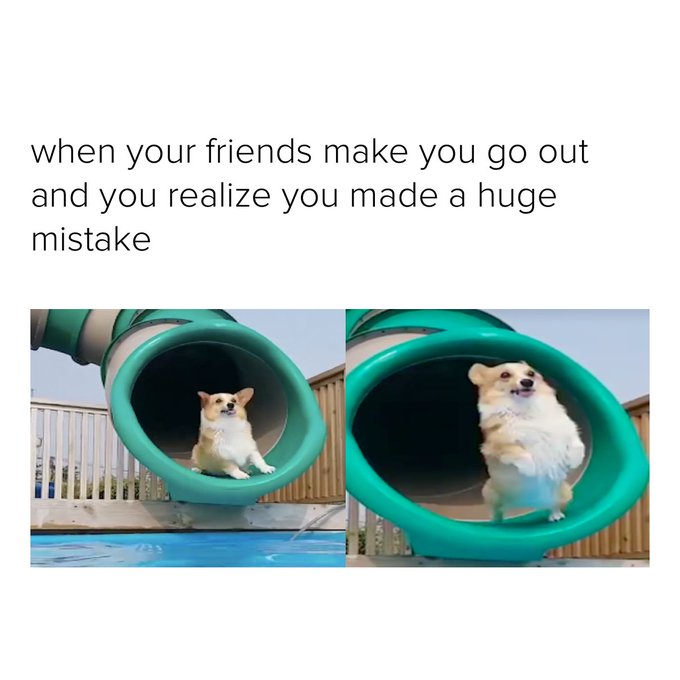 I&rsquo;ve made a grave error. https://t.co/LEnHrxIFCJ<a href="/tag/lookwhatyoumademedo"class="tags"><span>#lookwhatyoumademedo</span></a>