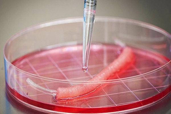 CUScienceDisco's tweet image. We're kicking off this year's Teen Science Caf� season with Dr. Brian Aguado. He'll share how he uses engineered tissues to design new ways to combat diseases, including cancer. TUESDAY, September 18th. This event is FREE, so grab a friend and RSVP today! conta.cc/2NoEA06