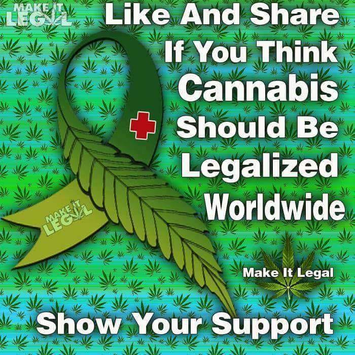 UVCWellness's tweet image. *WASTED WEDNESDAY
@ UVC- OPEN 8AM TO
10PM DAILY*

-New Golani Flavors
Available: Coconut &amp;amp;
Cinnamon

-Delicious YOLO 500mg
Cookies &amp;amp; Brownies

10G's For $50 On
Select Strains

-1/8ths Start @ $18 &amp;amp;
4g 1/8ths During Happy
Hours

Tomorrow 09/06/18
PURE ONE BOGO, 
3pm - 6pm* 
#dtla