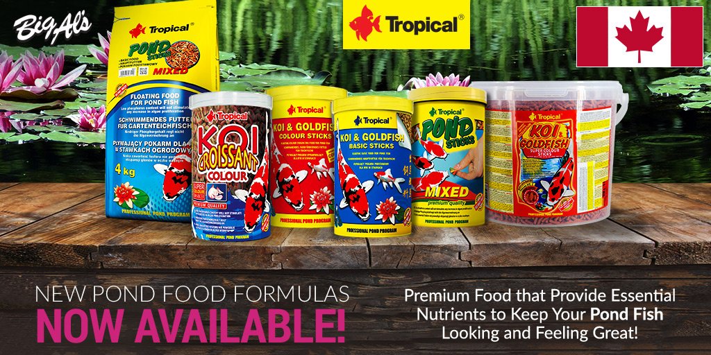 Big Al's Pets (BigAls_Pets) Twitter