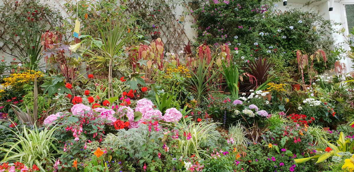 Waiting in Scottish parliament. Lady approaches. "I'm Church of Scotland" I replied "I'm Moderator!" She said "No you're not! It's a bloke!" *ok...*