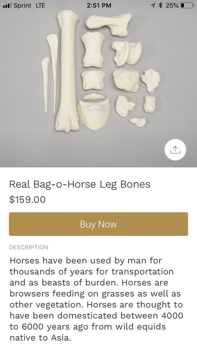 Lindsaycarterx's tweet photo. Birthday coming up next month... thinking about this bag-o-horse leg bones ... this is unrelated to my last tweet ............ https://t.co/6dYaEX6H9a