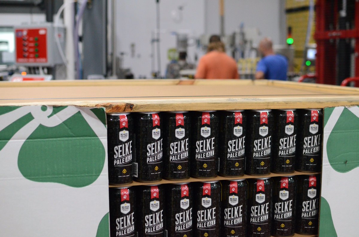 stcloudstate's tweet photo. More than 6,300 cans of Selke Pale Ale coming off the line at the @BeaverIslandSTC production facility in east St. Cloud. Sip our #SCSU150 beer in support of student scholarships 5-7 p.m. Sept. 5 at #BibCo in downtown St. Cloud. https://t.co/nimRf5f75G
