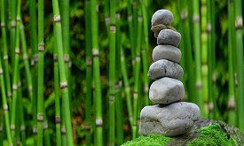 zen psychotherapy integrating