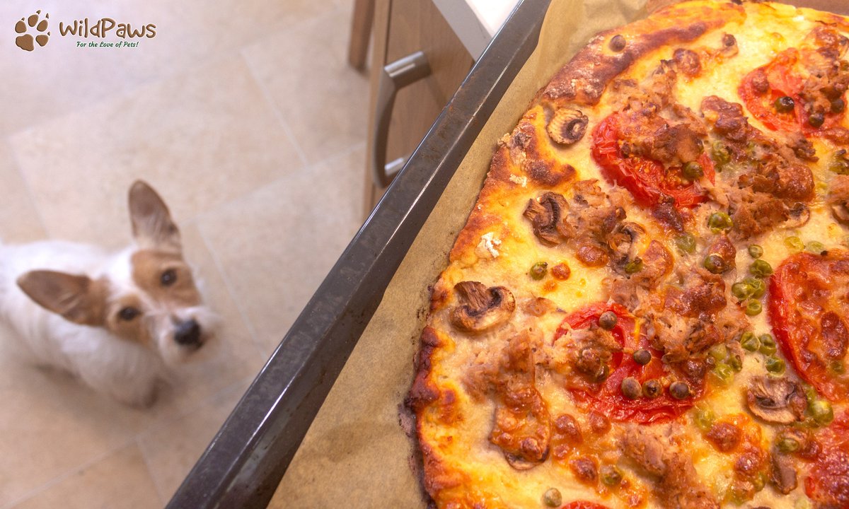 epub magento 13 sales