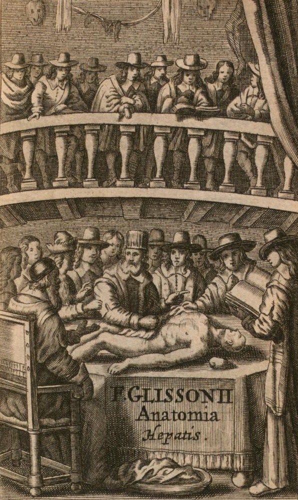 StoriaMedicina's tweet photo. Francis #Glisson (1597-1677) was a british #physician. He did important work on the #anatomy of the #liver, and he wrote an early pediatric text on #rickets.
#histmed https://t.co/yDMg1JUe5b