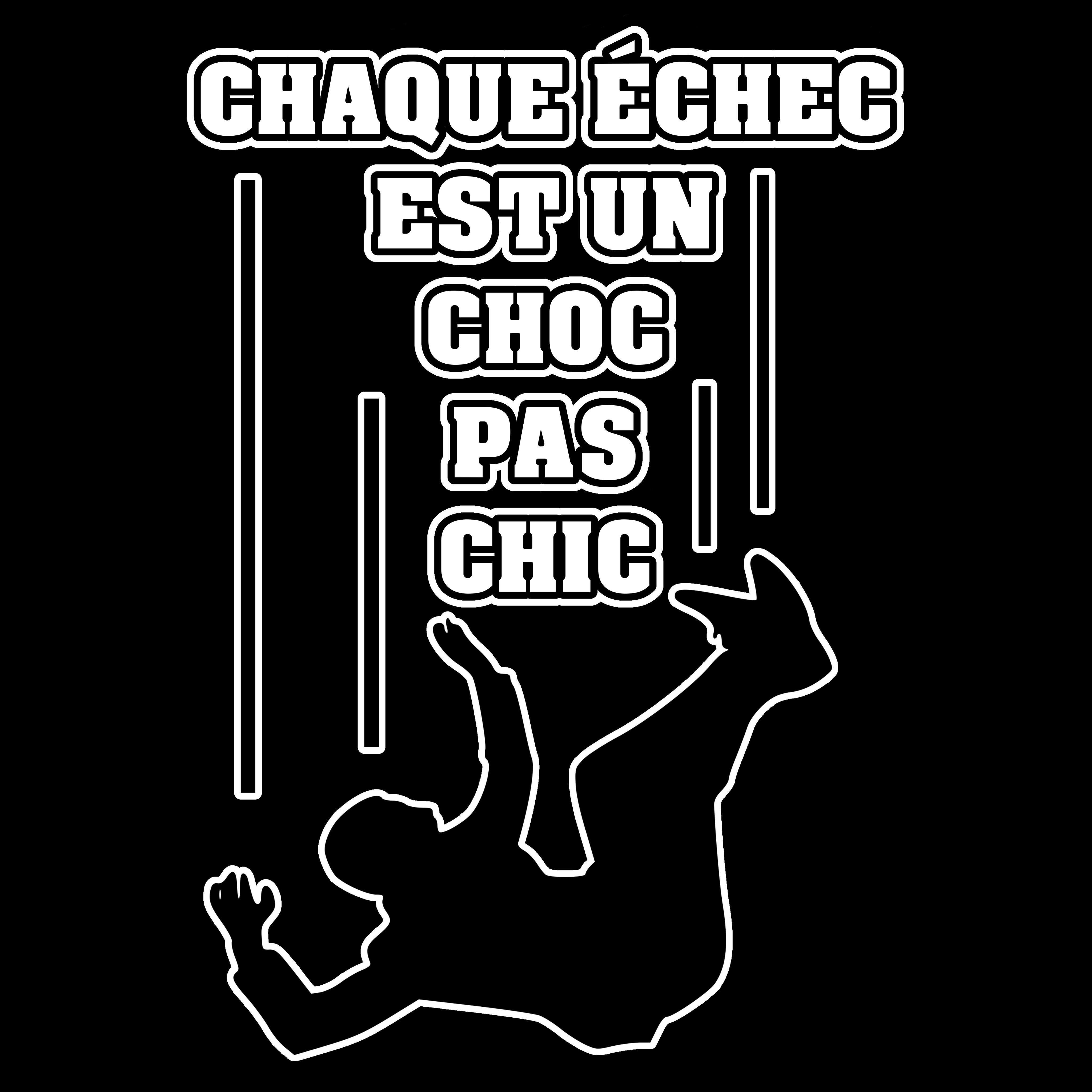 Twitter এ Francois Ville Chaque Echec Est Un Choc Pas Chic Un Cadeau A Offrir Ici T Co Jxx1ywjcgh Echec Choc Chic Nul Reussite Succes Talent Don Talentueux Top Flop Examen Baccalaureat Brevet Epreuve Ecole