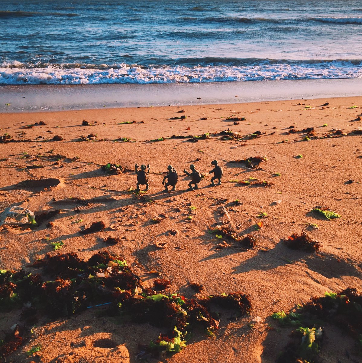 BatJu75's tweet photo. Face à l'océan
Oceanfront
@NECA_TOYS #BBTMNT #teenagemutant #tortueninja #teenagemutantninjaturtles #neca #jaipasfinidejouet #photooftheday https://t.co/MgGsLOeCoL