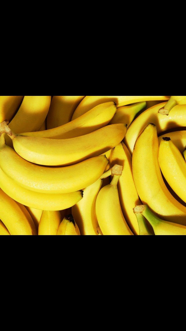 IITSHWC's tweet image. #shwc