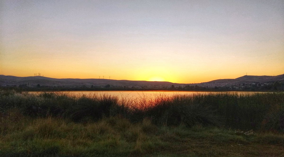 Atardecer en La Laguna, paisajes que se graban en la pupila y el alma.
Buenas noches! 🌘
#padul #lagunapadul #inmyeyes #goodnight #atardecer #laguna #rutamamut