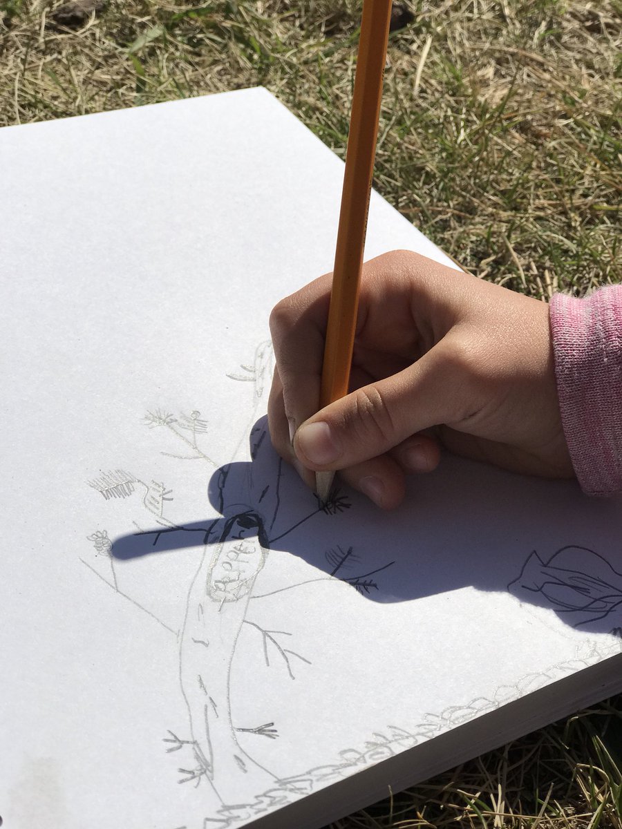 HinderYYC's tweet photo. Reciprocity 🌲💚 How can we give as much as we receive? Exploring all the gifts our more-than-human world gives us and brainstorming how we can give gratitude in return. @serve_cbe  @PaulKelba @MsPhillipsYYC #cbeliteracy #getoutside https://t.co/wEQuhVTjS3