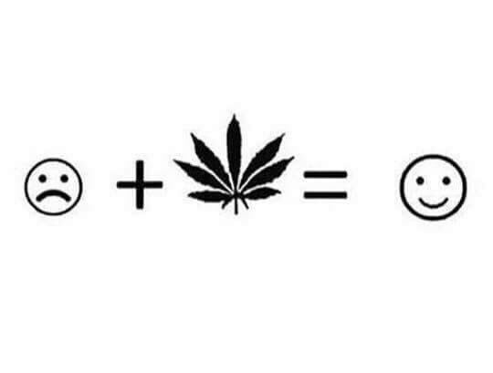 #breakthestigma we would all be happier if cannabis was a household item. CBD and/or MJ should be everywhere!!