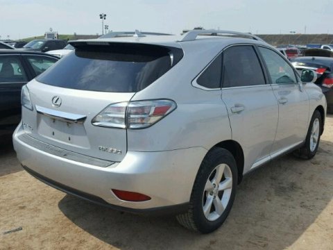 Buchi  ARUSI tweet media