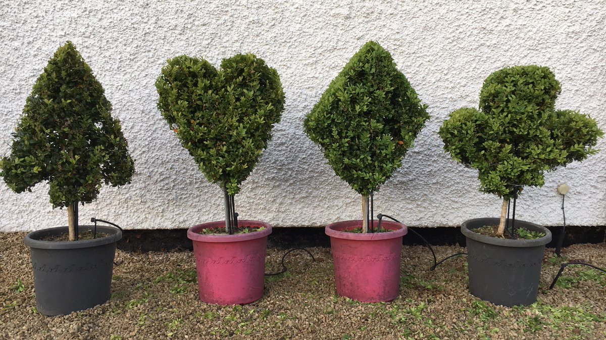 Alyth47's tweet image. Combining bridge and gardening!