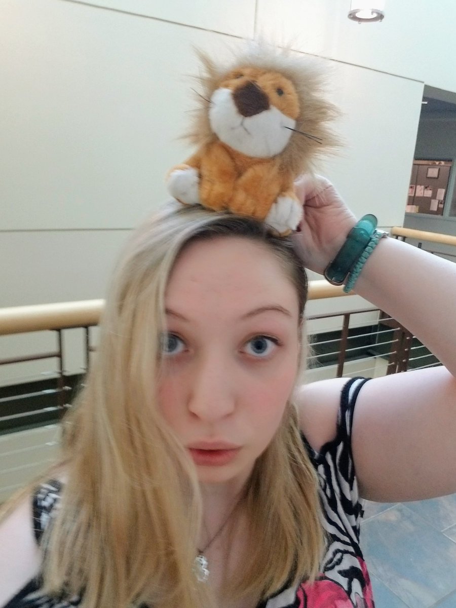 amazingphil lion plush