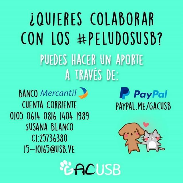gacusb's tweet photo. ¿Quieres ayudar a nuestros #PerritosUSB pero no sabes cómo? ¡Hay muchas formas!
.
1. Si lo que deseas es darnos un apoyo económico en bolívares puedes hacerlo a través de nuestra cuenta:
.
Banco Mercantil
Cuenta Corriente
01050614081614041989
Susana Blan… https://t.co/CVhsuy2Ll3 https://t.co/v0sQDknWav