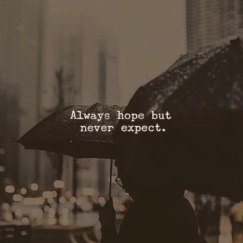 wikipediaweb's tweet image. 