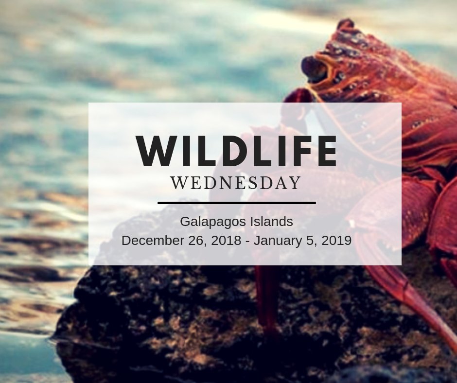 Trip of a lifetime! Sierra Foothill Conservancy and <a href="/holbrooktravel/">Holbrook Travel</a> are offering an expedition in the Galapagos! Come check it out at ow.ly/WPcH50irrth