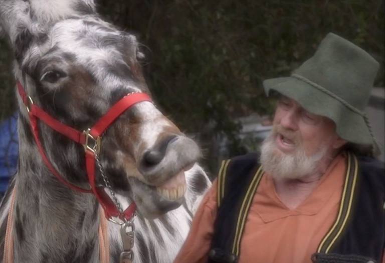 MidSouthRenFair's tweet photo. Come see Rob 'em Good and his Merry Mule at the 4th Annual Mid-South Renaissance Faire on the first weekend of faire, October 13 &amp; 14, 2018 at USA Baseball Stadium in Millington, TN! #midsouthrenfaire #renfaire https://t.co/cFtBISYJXE