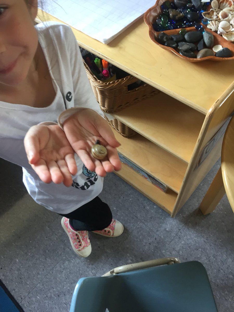DowlingFDK's tweet photo. “Me and my pet snail”. Ss in Rm102 continue to explore Snails.
#snails #Inquiry #playbasedlearing #FDKScience #Fun @HilaryDPCDSB https://t.co/Kxh53K3JvO