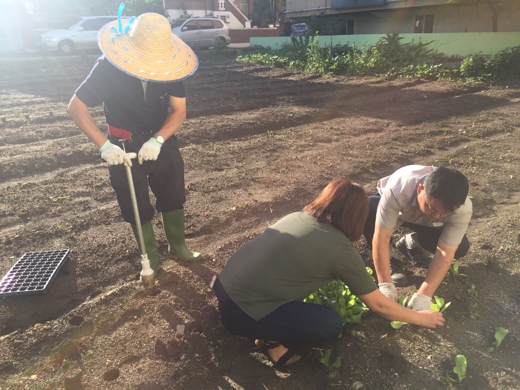 수원시 권선구 서둔동 안전마을텃밭 배추모종심기 행사 개최

2018. 8. 31. 

서둔동 안전마을텃밭에서 배추모종심기 행사가 개최되었습니다. 
주민들은 배추를 수확하여 김장김치를 주변의 이웃과 나눌 계획입니다.