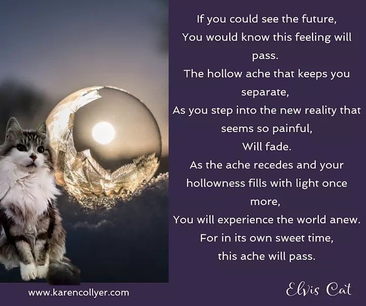 editorkarenc's tweet photo. #raw #trust #grief #elviscat #wisdom #healer #death https://t.co/rCuu8rU7ES