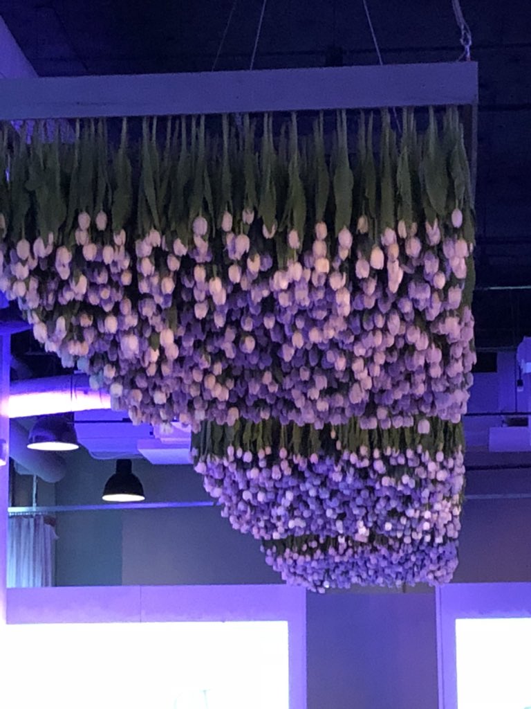 DowntownDCBID's tweet photo. We are blooming and ready to go. Thanks to @bloomiaflowers and @AmaryllisInc for the gorgeous flower installation! #districtoffashion #downtowndc #somuchmor https://t.co/sBsiCer2EH