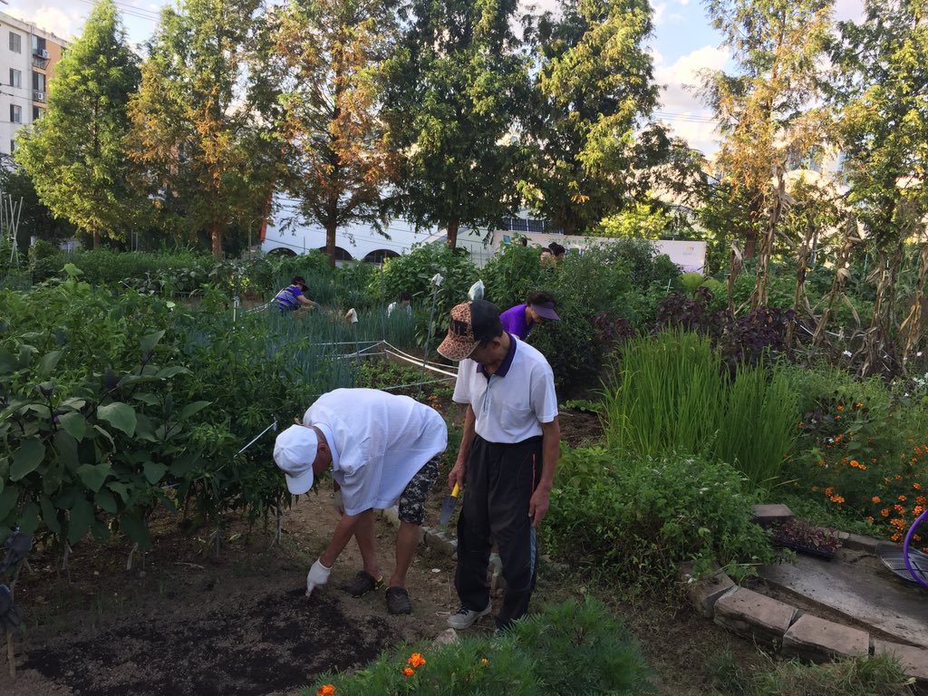수원시 권선구 여기산 옹심이 배추모종나눔 행사 개최

2018. 9. 5.

서둔동 여기산 옹심이 마을텃밭에서 배추모종나눔 행사가 열렸습니다. 마을텃밭을 분양받은 30여 명의 주민들은, “배추를 예쁘고 실하게 키워 이웃과 함께 김장김치를 나누겠다.”는 포부를 밝혔습니다.