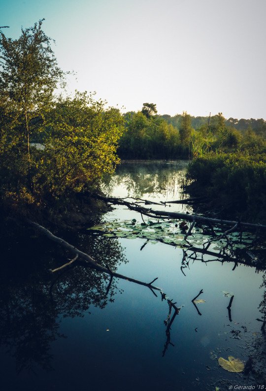 taiga_codex's tweet image. photosbygerardo:

  , #nature #landscape #wilderness #earth See more: taiga-codex.com