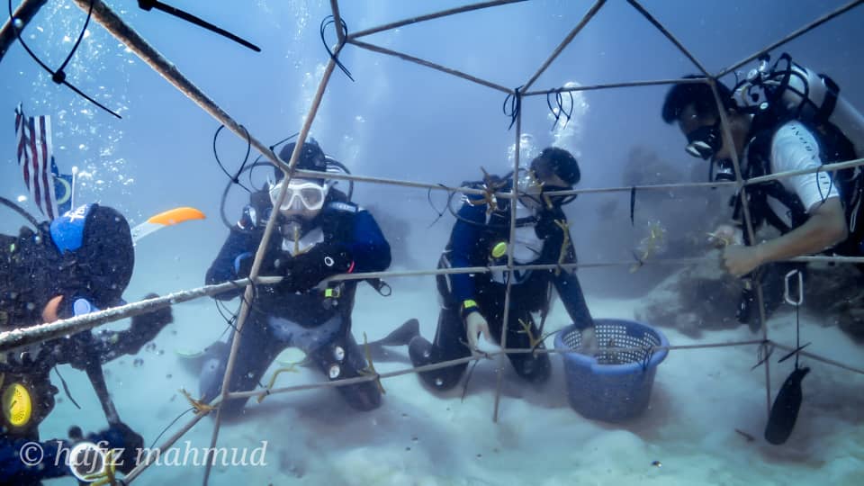 MyBankMuamalat's tweet photo. Sempena sambutan kemerdekaan ke 61 Malaysia, Bank Muamalat telah mengadakan Program Muamalat Merdeka Conservation Coral Dive yang bertempat di Pulau Perhentian, Terengganu bagi menggalakkan pemuliharaan tumbuhan karang di Malaysia #Mybankmuamalat #Merdeka2018 https://t.co/ph9T4Ekea3