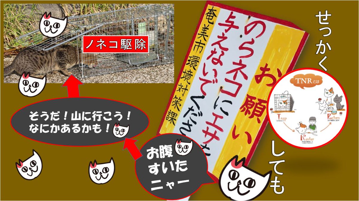 愛誤団体 ノラ猫に餌やりを禁止にすることは 新たなノネコを作ることになる だから餌やりを認めろ Togetter 愛誤団体 ノラ猫に餌やりを禁止にすることは 新たなノネコを作ることになる だから餌やりを認めろ Togetter