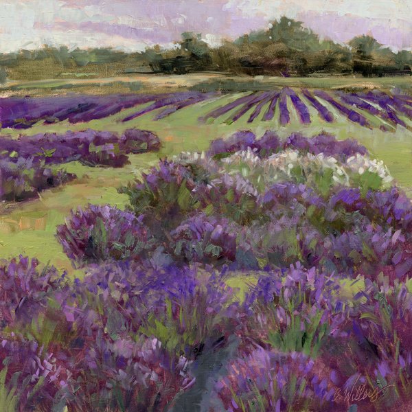 Art Center Of Ep On Twitter Estesvalleypleinair Is Under Way